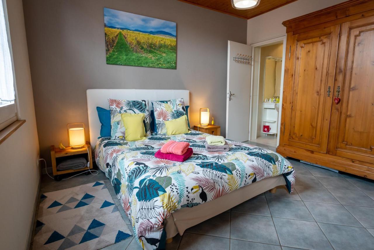Apartamento Le Schwendala - Quartier Petite Venise Colmar Exterior foto