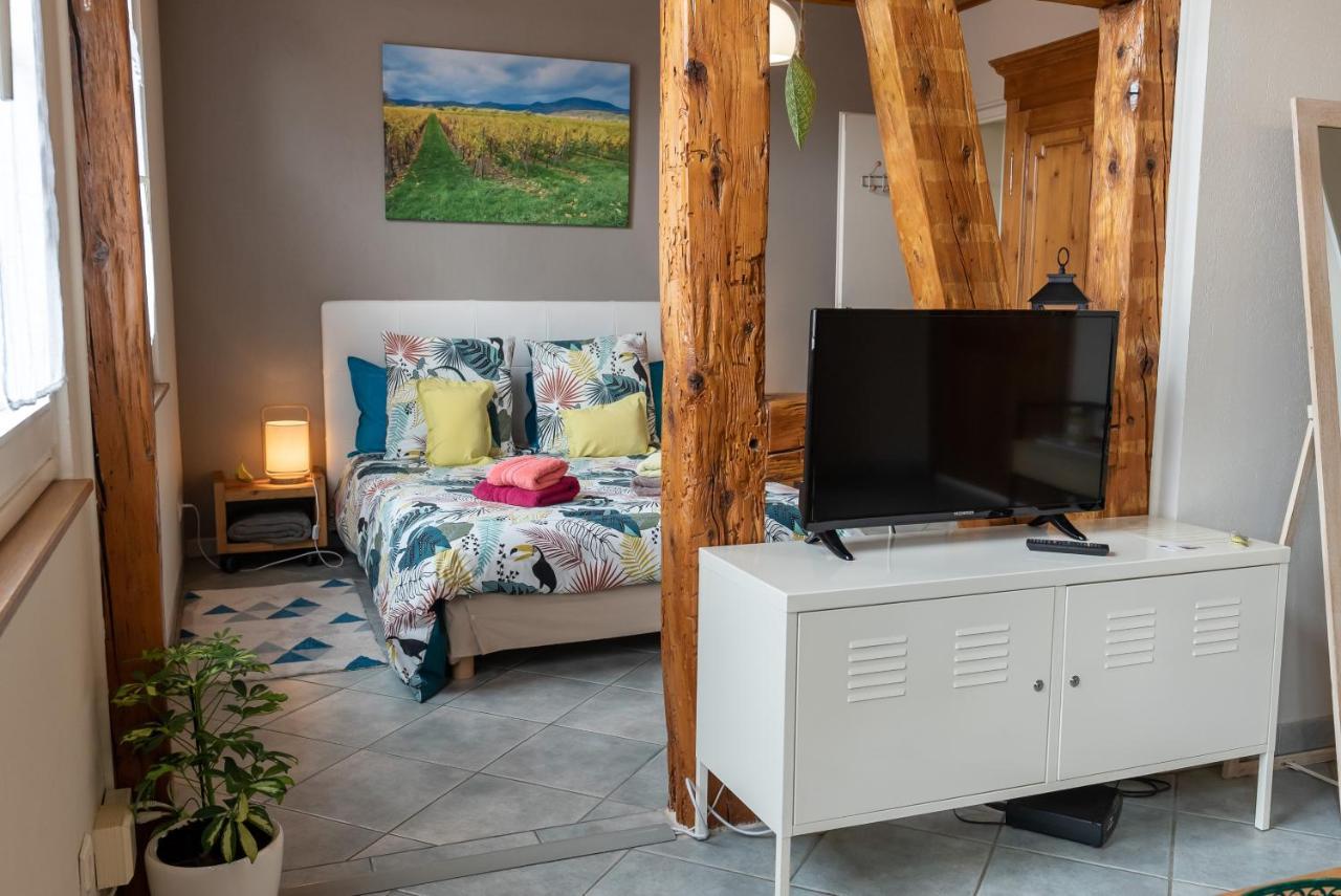 Apartamento Le Schwendala - Quartier Petite Venise Colmar Exterior foto